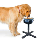 Adjustable Elevated Dog Food Bowls Stand | PuffyJewel.com